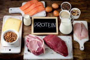 Les meilleures sources de protéines