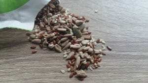 5 petites graines healthy pour améliorer son alimentation